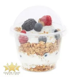 ice-cream-cup-1-300x300.webp