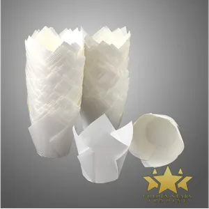 Untitled design - 2026-09-23T183854.203.webp