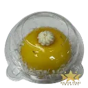 Untitled design (9).webp
