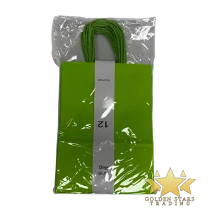 #PS5344 - Kraft Paper Bag with Handle - Light Green (12ct) - Small
