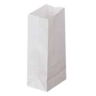 #PK1022 - 20 LB White Paper Bags (100ct)