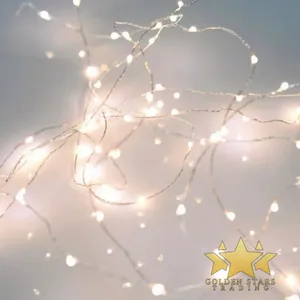 #PS2261 - White Battery Operated Fairy String Light