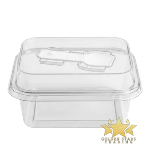 #PK2439 - Rectangle Clear Plastic Cake Container with Lid and Spoon (10ct)