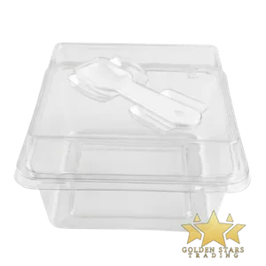 #PK2482 - Square Clear Plastic Cake Container with Lid and Spoon (10ct)