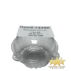 #PK7445K - Small Clear Hinged Container